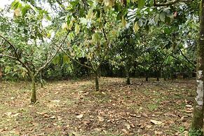 Tirimbina Rainforest Lodge