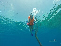 Rasdhoo Coralville