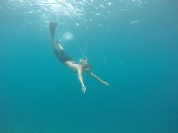Rasdhoo Coralville