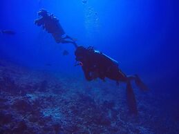 Rasdhoo Coralville