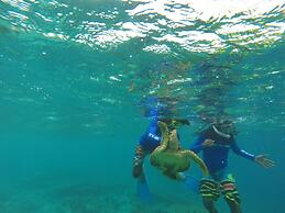 Rasdhoo Coralville
