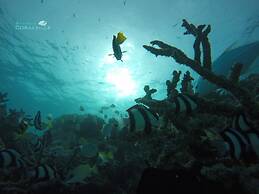 Rasdhoo Coralville