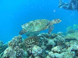 Rasdhoo Coralville