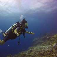 Rasdhoo Coralville