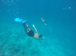 Rasdhoo Coralville