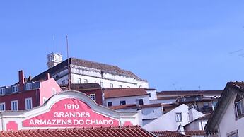 Be Coimbra Hostels