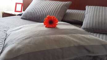 B&B Galleria Frascati