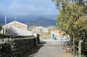 Il Tanaceto