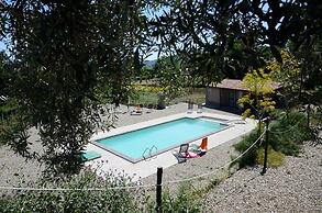 Il Tanaceto