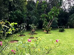 Palmwood Lodge