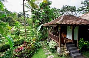 Surya Shanti Villa
