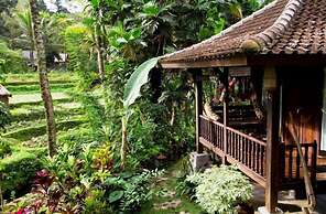 Surya Shanti Villa