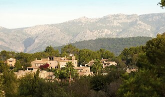 Asis de Marratxinet