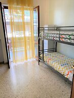 Olive Tree - Hostel