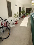 Olive Tree - Hostel