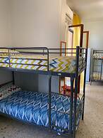 Olive Tree - Hostel