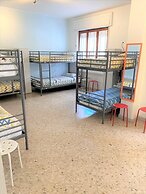 Olive Tree - Hostel