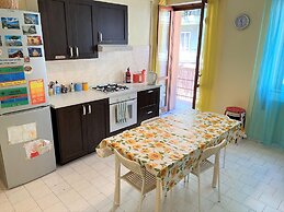 Olive Tree - Hostel