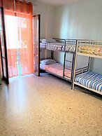 Olive Tree - Hostel