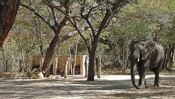 Gwango Elephant Lodge