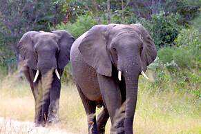 Gwango Elephant Lodge