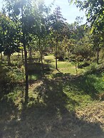 Wenzler's Landing Bed & Breakfast