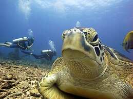 Manta Dive Resort Gili Air
