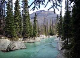 Kootenay Park Lodge