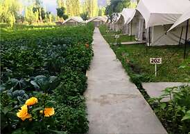 TIH Mystique Meadows Camp