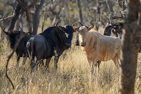 Waterberg Game Park
