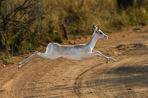 Waterberg Game Park
