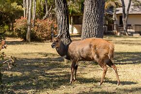 Waterberg Game Park