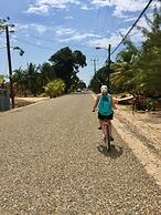 Buttonwood Belize