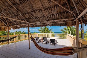 Buttonwood Belize