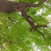 Aitabi Hostel