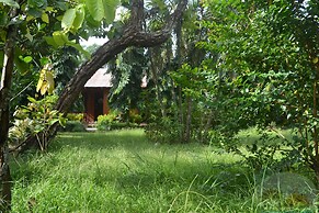 River View Jungle Camp