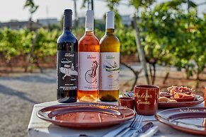 Sa Vinya des Convent Agroturismo