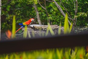 Hotel Cerro Lodge