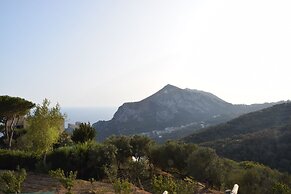 Neranya