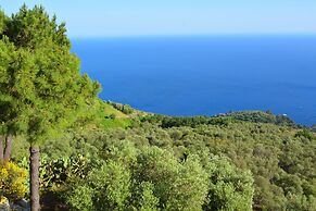 Neranya