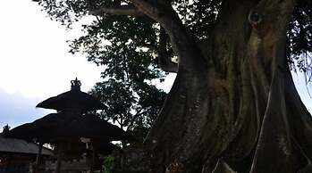 Rumah Desa