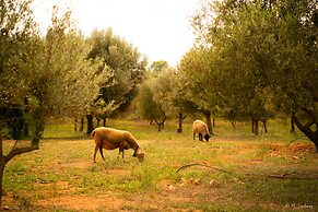 Agroturismo Son Barceló Mas