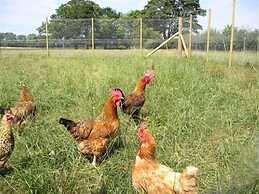 Whashton Springs Farm