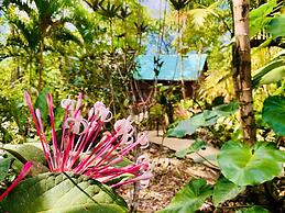 Mariposa Jungle Lodge