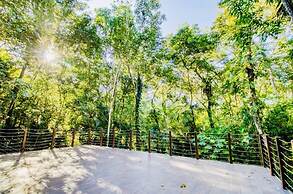 Mariposa Jungle Lodge