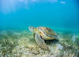 Secrets Akumal Riviera Maya - Adults Only - All Inclusive