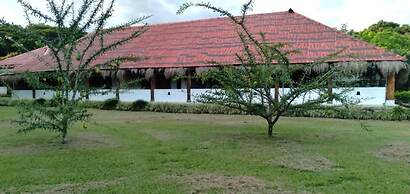Cinaruco Caney