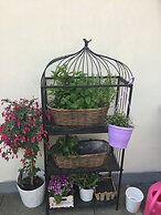 Old Town Boutique Apartments
