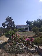 Violetta Hotel