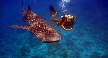 Batuta Maldives Surf View Guesthouse